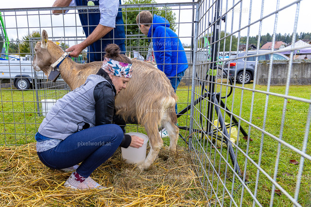 SchaZie-Tag Feldkirchen | Bildershop von pixelworld.at - Realisiert mit Pictrs.com