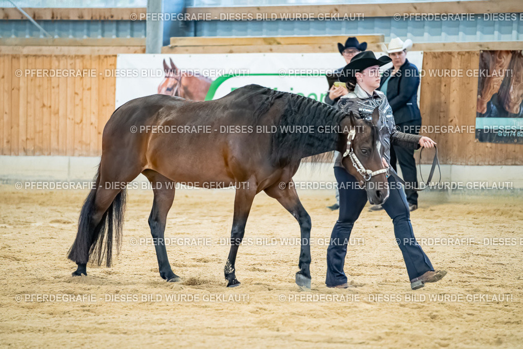 DSC09854 | Pferdegrafie