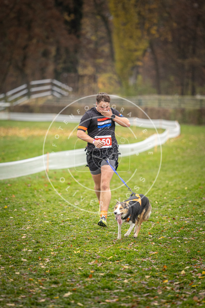 CaniXpix_DV3A0066 | Hundefotografie, Tierfotograf, Pfotenfotografie, Fotoshooting Hund, Hunde Portrait, Hundesport, Hundeportraits, Heideshooting, Hunde, Sportfotograf, Hundefotograf, Turnierhundsport, THS,  - Realisiert mit Pictrs.com