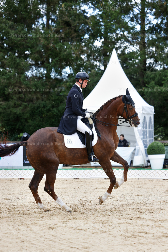 10-015-ST.GEORG SPECIAL -StoibPH-3212 | working equitationturnier fotograf videograf stoibphotography marixx film working equitation deutschland reitsport turnierfotografie eventfotografie equestrian events