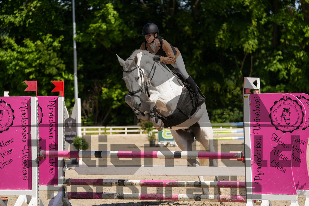 DSC02176 | Julian Held Fotografie - Realisiert mit Pictrs.com