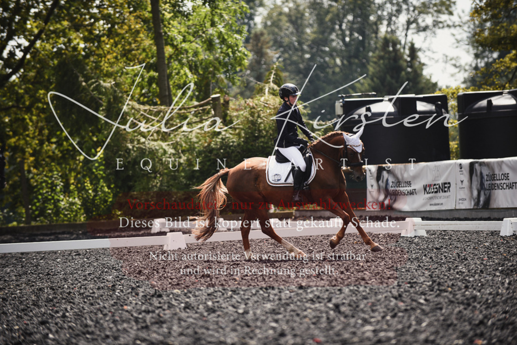 DSC_4226 | Pferde- und Turnierfotografie in Westsachsen. Pferdeportraits, Auftragszeichnungen und intuitive Kunst.
