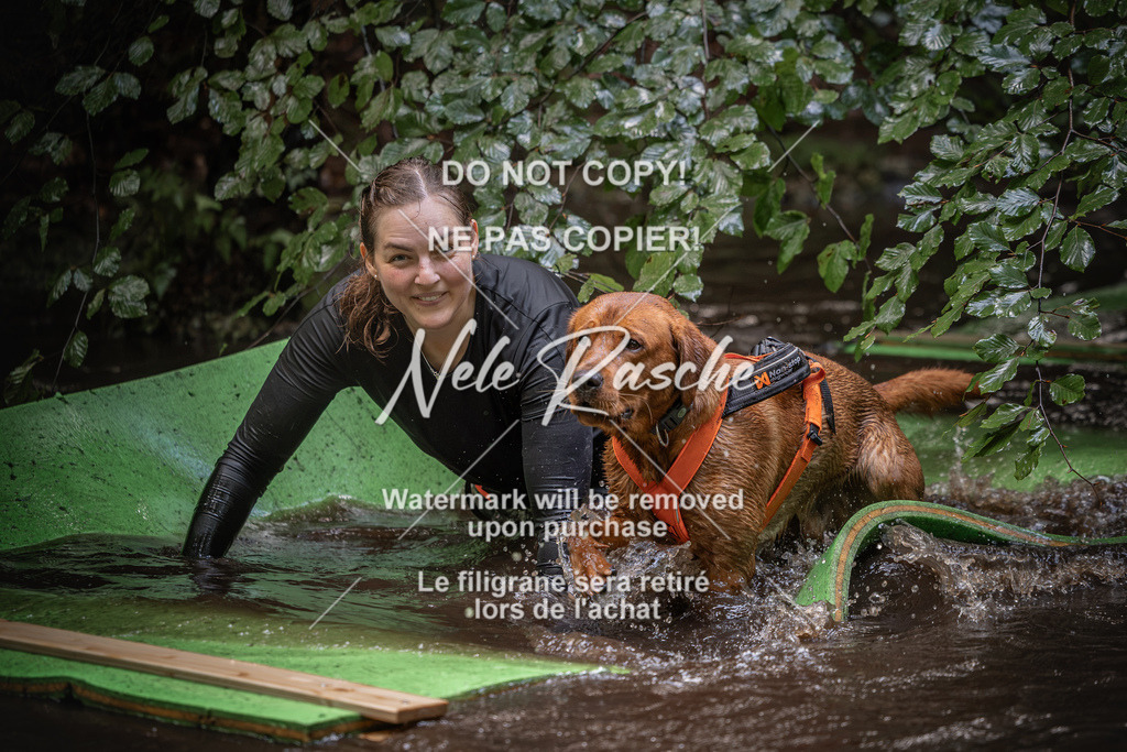 nelerasche_Wingst_Sa1330-1400_202 | nelerasche
