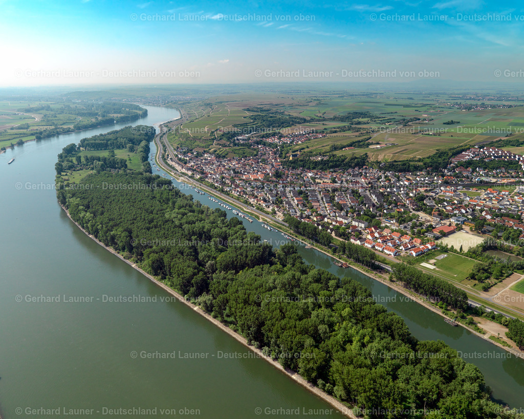 3134040 | Rhein bei Nackenheim