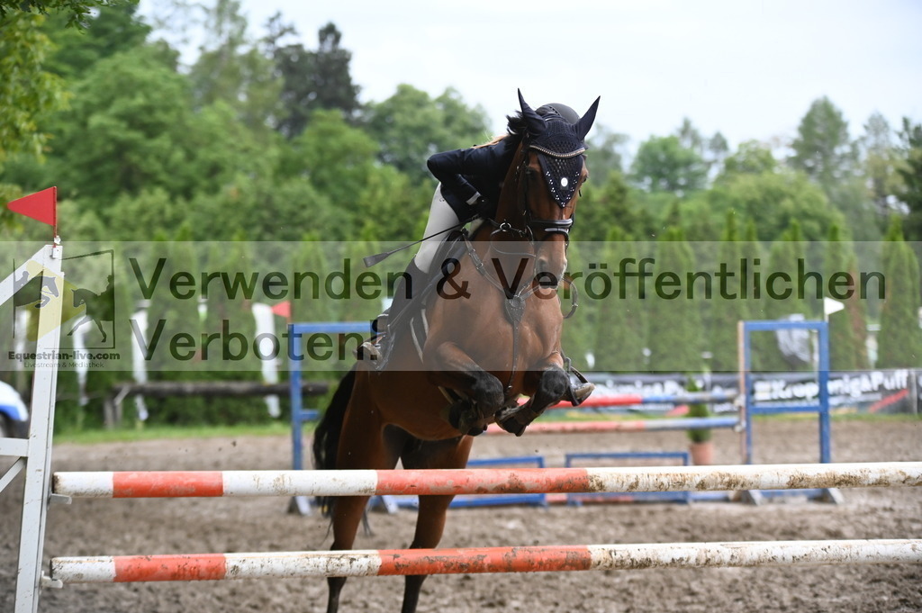 DSC_1727 | equestrian-live-com