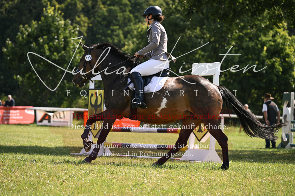 DSC_8931 | Pferde- und Turnierfotografie in Westsachsen. Pferdeportraits, Auftragszeichnungen und intuitive Kunst.
