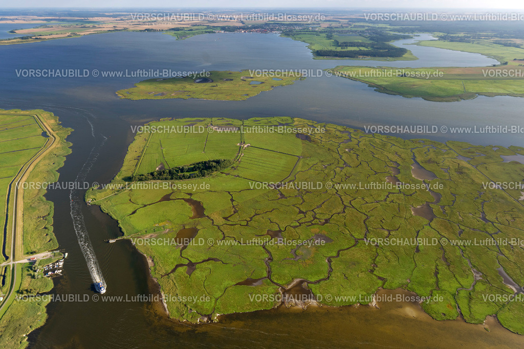 Zingst12082641 | Mississippidampfer Riverboat beim Fähranleger Müggenburg , Insel Großer Kirr, Barther Bodden,  Zingst, Ostsee, Mecklenburg-Vorpommern, Deutschland, Europa