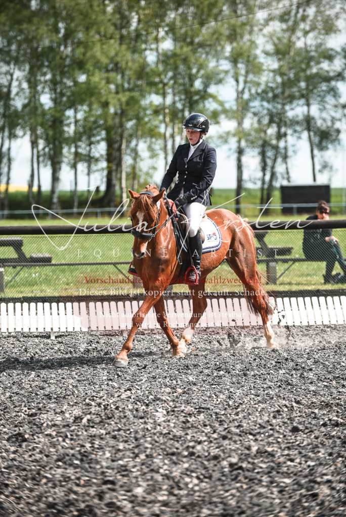 DSC_9033 | Pferde- und Turnierfotografie in Westsachsen. Pferdeportraits, Auftragszeichnungen und intuitive Kunst.