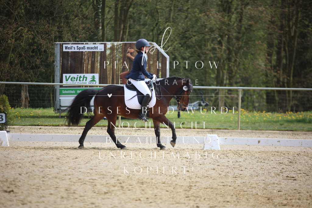 IMGT5085 | pl-fotografie