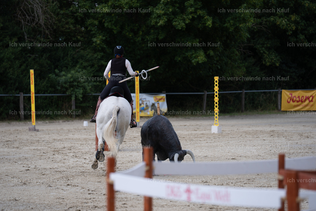 WS_SP_63_SinaFilmArt_IN08327 | working equitationturnier fotograf videograf stoibphotography marixx film working equitation deutschland reitsport turnierfotografie eventfotografie equestrian events