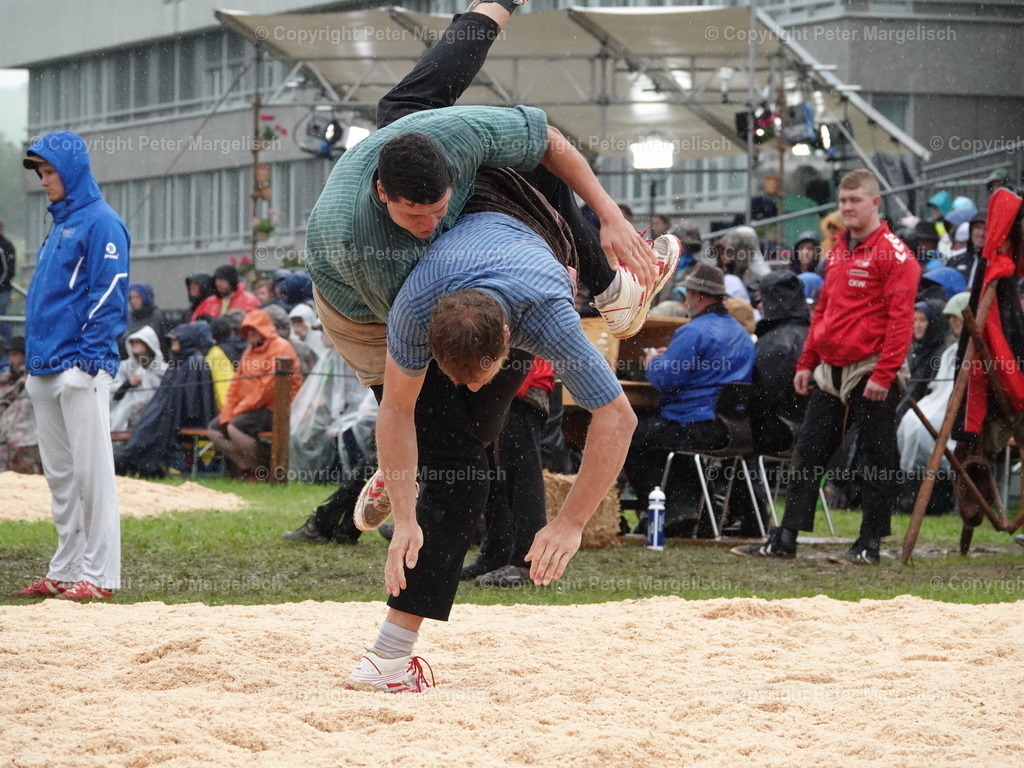 DSC07958 | Schwingen - Realisiert mit Pictrs.com