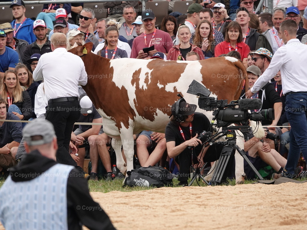 DSC04933 | Schwingen - Realisiert mit Pictrs.com