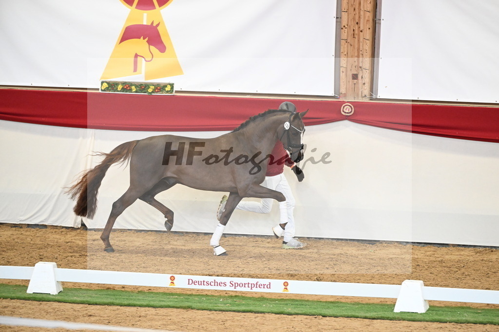 Kat.-Nr. 58 v. Floricello_Heilemann_2250329 | hf-fotografie - Realisiert mit Pictrs.com