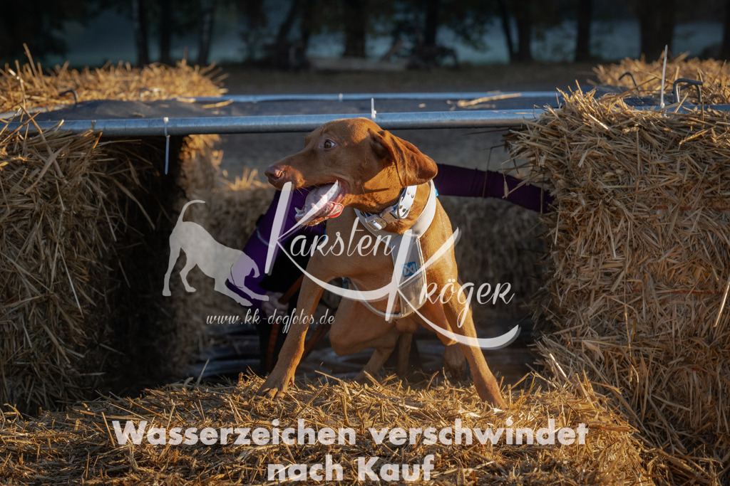 0903_ZZ90837 | kk-dogfotos