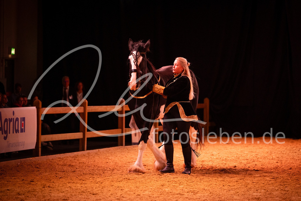 846A6208 | fotosleben - Realisiert mit Pictrs.com