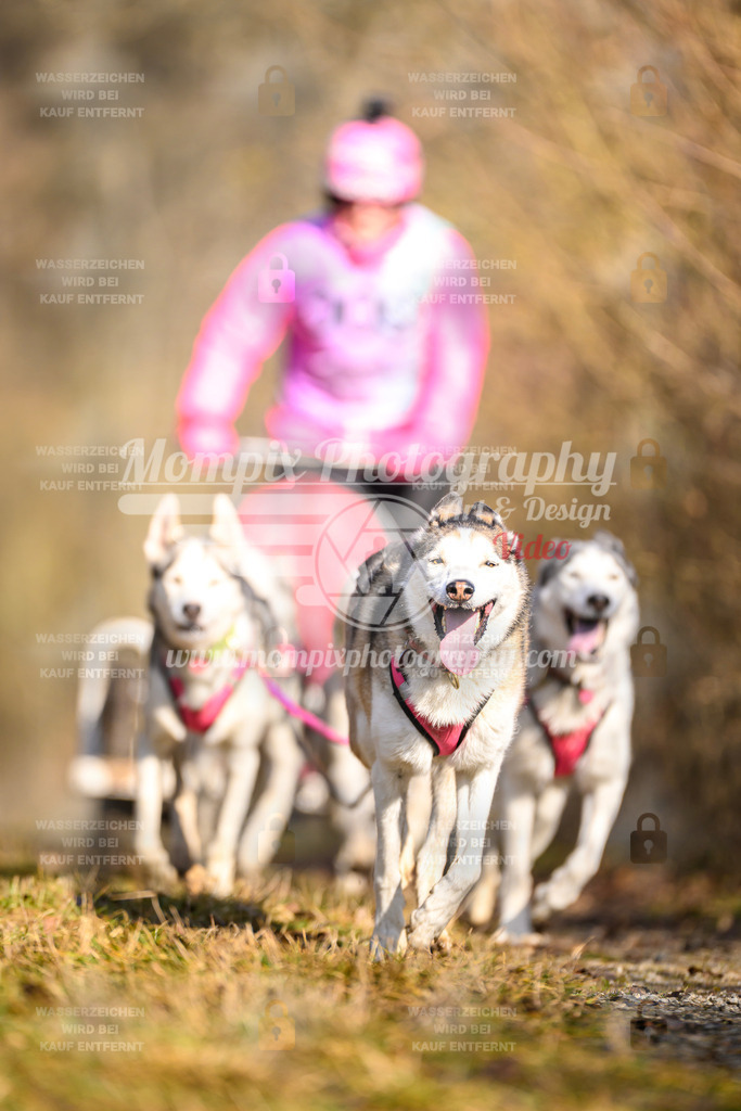 MompixPhotography_Schwabentrail2025_SO_Kart-17 | PayLife