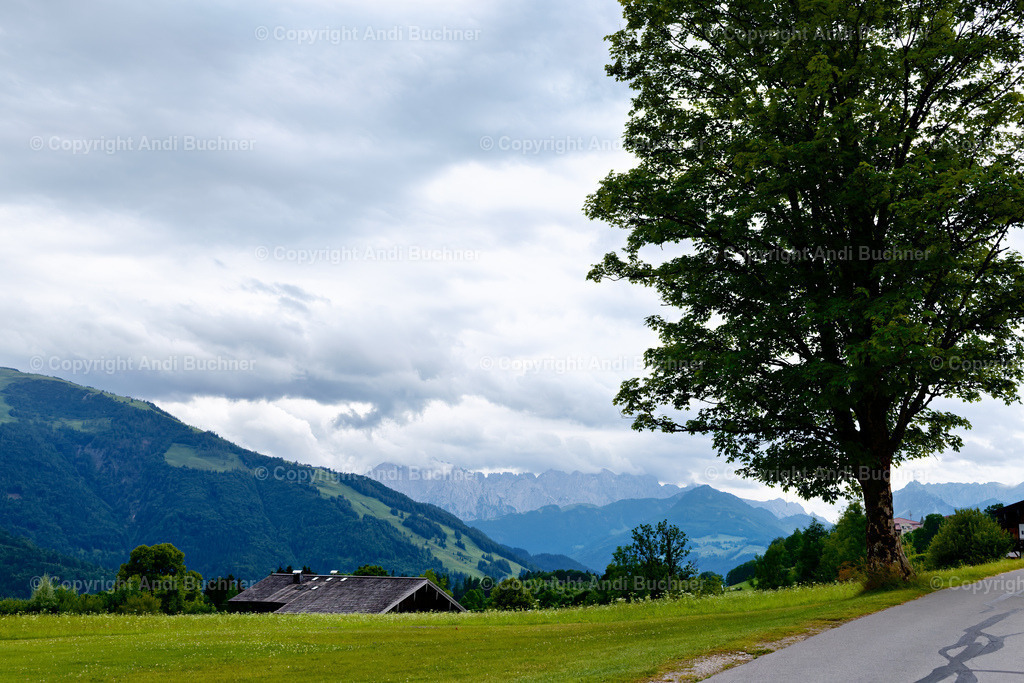 20250627-IML-Charity-Golfcup-0488 | calia