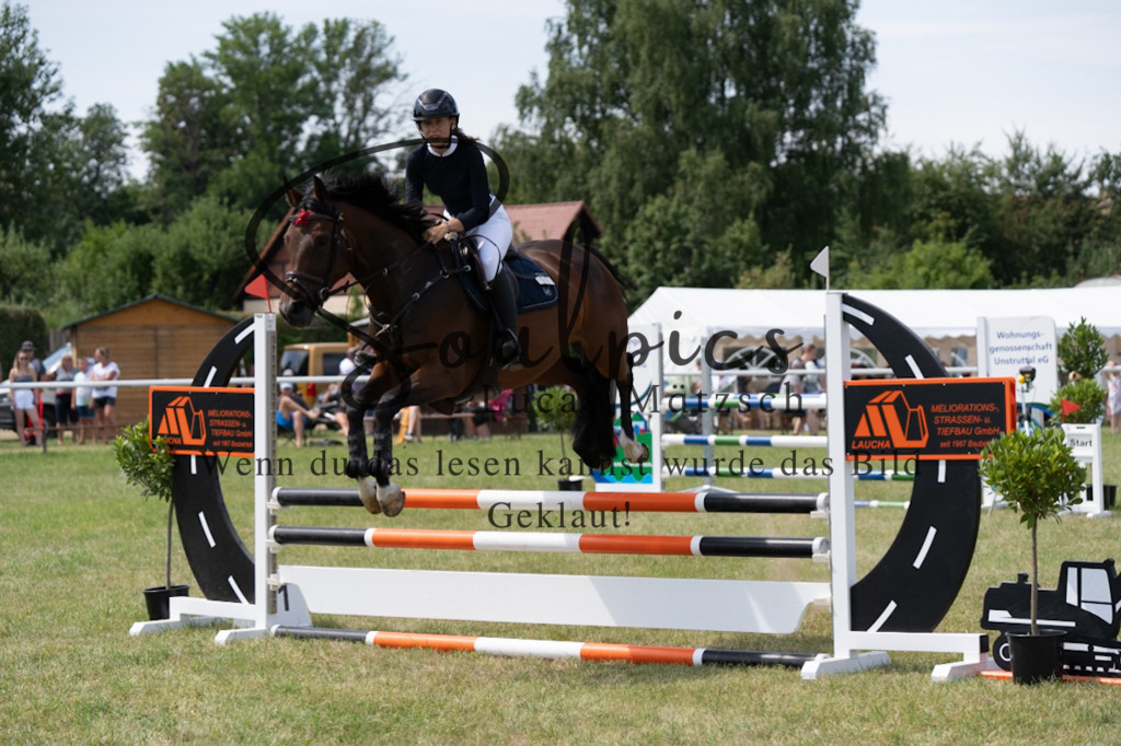 A7V01825 | Pferdefotograf