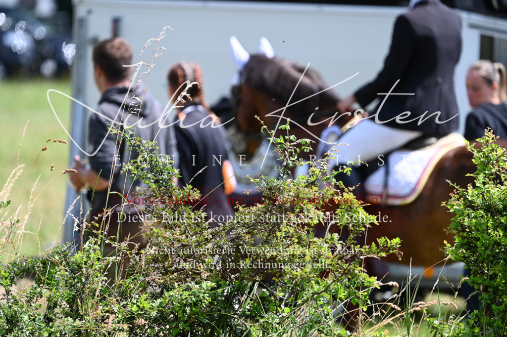 DSC_9537 | Pferde- und Turnierfotografie in Westsachsen. Pferdeportraits, Auftragszeichnungen und intuitive Kunst.