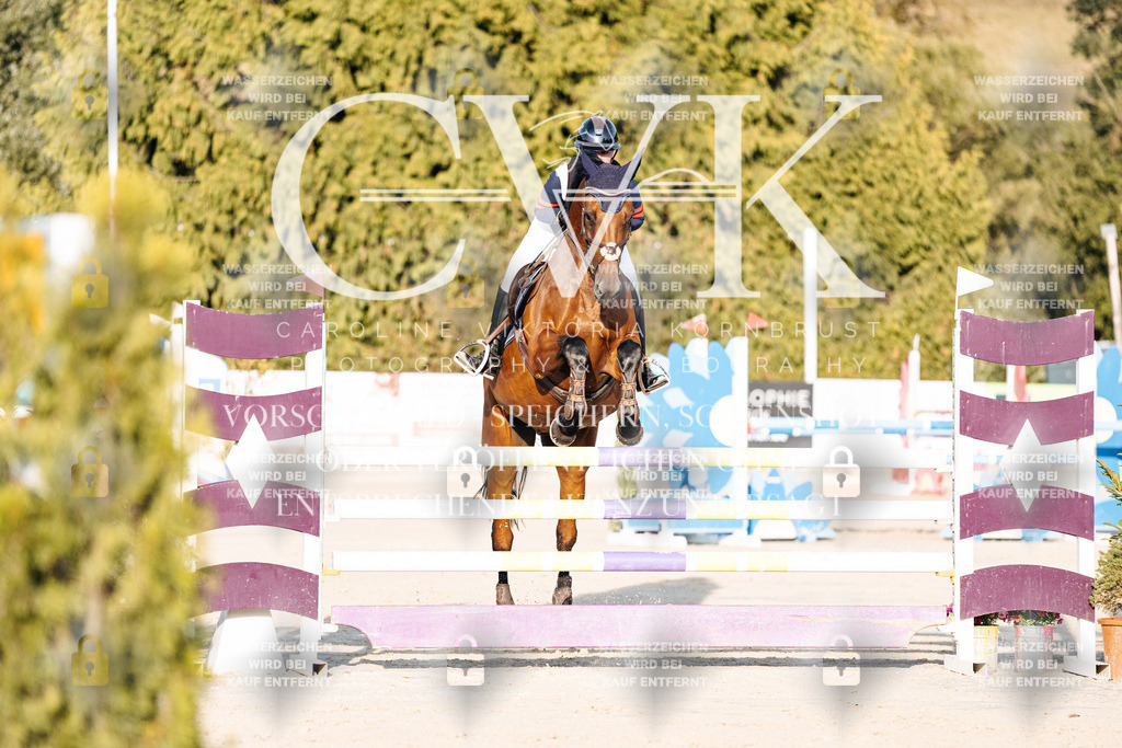 CK900669 | Turnierfotografie Pferdefotografie Trier Rheinland-Pfalz Pferdesport Reitsport Tierfotografie Sportfotografie Pferdevideo Pferdevideografie Equestrianvideography equestrianphotography  - Realisiert mit Pictrs.com