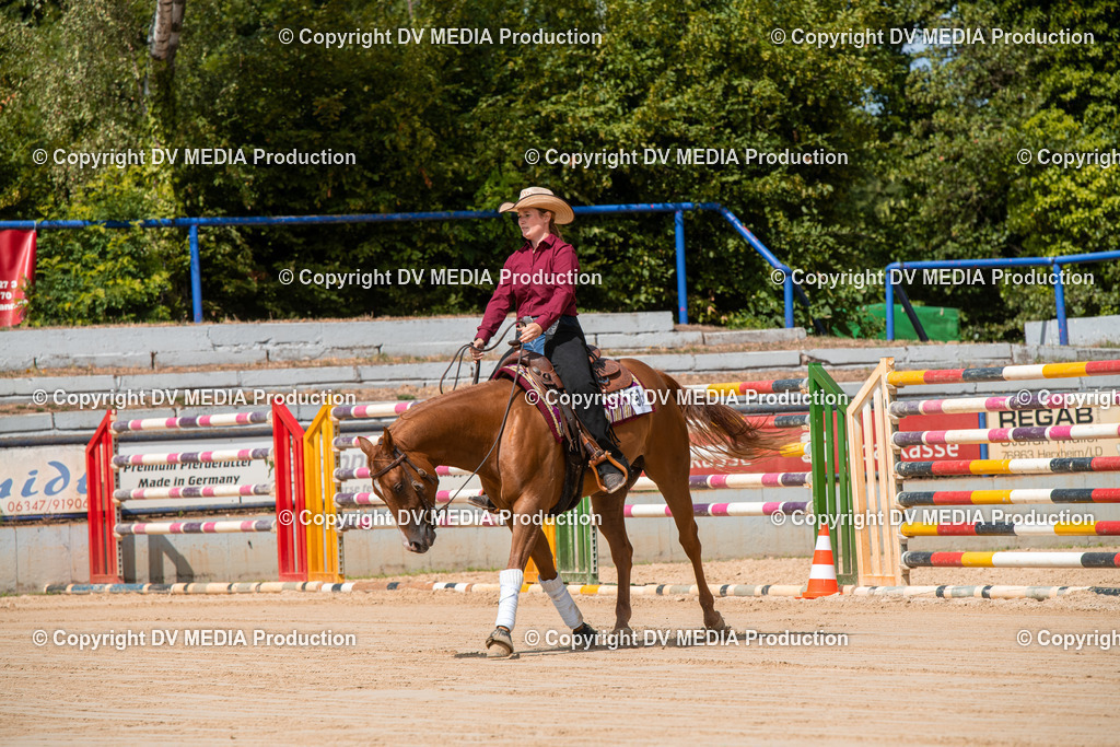 ZS3_9547 | dv-media-shop - Realisiert mit Pictrs.com