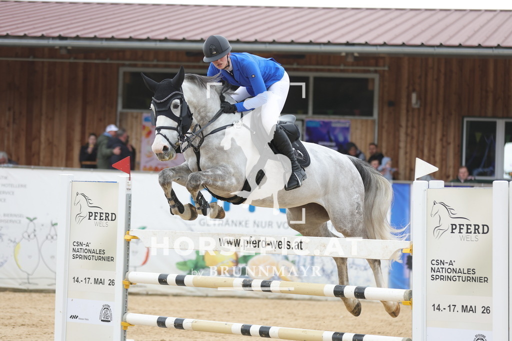 0P6A3672 | Willkommen bei Brunnmayr - Design & Fotografie – Ihrem Spezialisten für Reitturniere und Pferdeveranstaltungen in Oberösterreich, Salzburg und Bayern! Seit über 17 Jahren sind wir leidenschaftlich dabei.