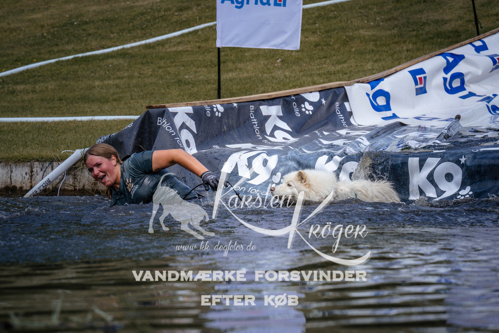 _ZZ904980900 | kk-dogfotos