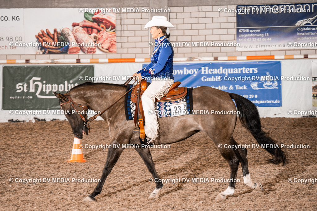 ZH300413 | dv-media-shop - Realisiert mit Pictrs.com