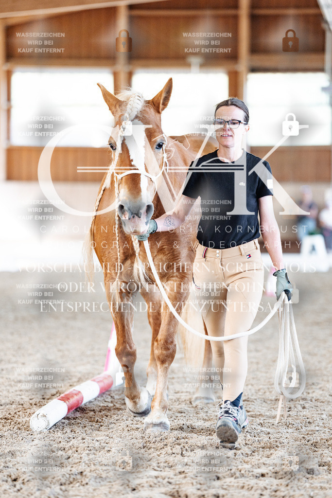 CK905949 | Turnierfotografie Pferdefotografie Trier Rheinland-Pfalz Pferdesport Reitsport Tierfotografie Sportfotografie Pferdevideo Pferdevideografie Equestrianvideography equestrianphotography  - Realisiert mit Pictrs.com