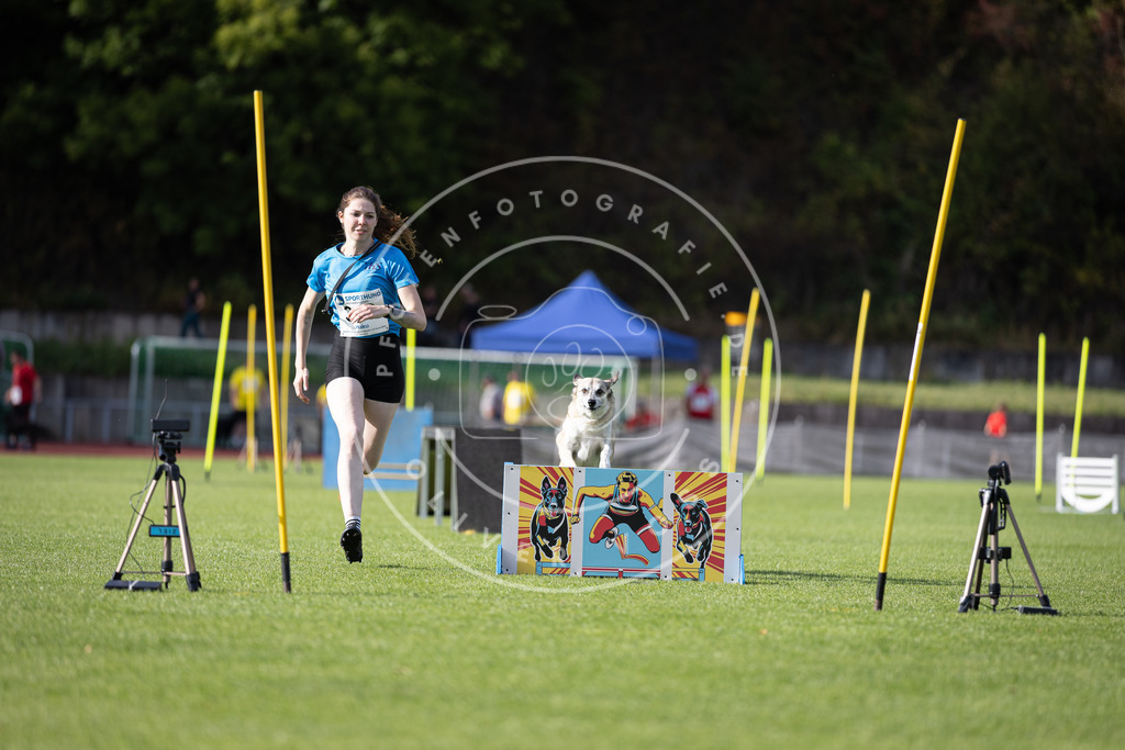 Pfotenfotografie_DV3A1993 | Hundefotografie, Tierfotograf, Pfotenfotografie, Fotoshooting Hund, Hunde Portrait, Hundesport, Hundeportraits, Heideshooting, Hunde, Sportfotograf, Hundefotograf, Turnierhundsport, THS,  - Realisiert mit Pictrs.com