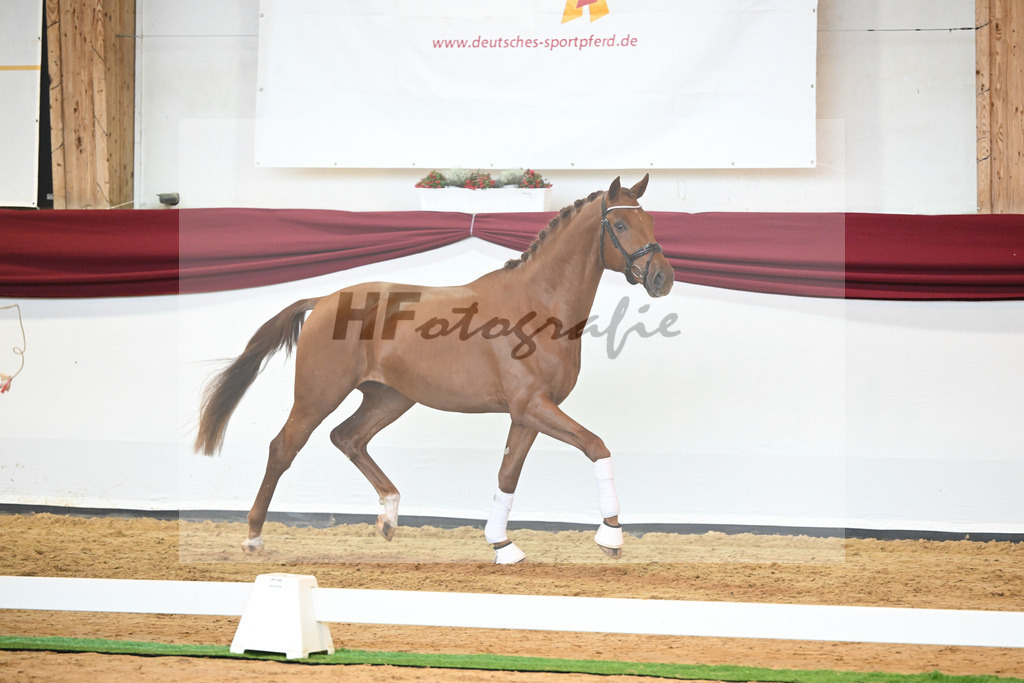 Kat-Nr. 28 v. Erdinger_Schuhmacher_66220792 | hf-fotografie - Realisiert mit Pictrs.com
