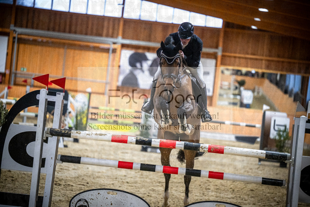 DOS_2339 | Entdecke hochwertige Reitturnierfotos von Foto Oger. Professionell, emotional und authentisch – jetzt Lieblingsmomente im Shop bestellen.Deutschlandweite Turnierfotografie. - Realisiert mit Pictrs.com