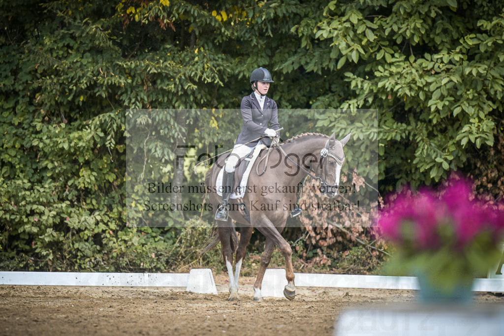 DOS_0005A | Entdecke hochwertige Reitturnierfotos von Foto Oger. Professionell, emotional und authentisch – jetzt Lieblingsmomente im Shop bestellen.Deutschlandweite Turnierfotografie. - Realisiert mit Pictrs.com