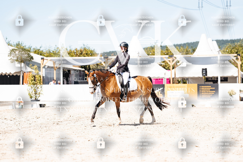 CK900248 | Turnierfotografie Pferdefotografie Trier Rheinland-Pfalz Pferdesport Reitsport Tierfotografie Sportfotografie Pferdevideo Pferdevideografie Equestrianvideography equestrianphotography  - Realisiert mit Pictrs.com