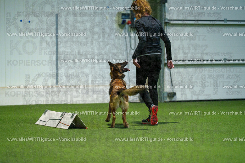 7R505661 | Professionelle Tierfotografie in Mönchengladbach von Daniel Wirth (allesWIRTHgut). Liebevolle & natürliche Bilder von Hunden & Katzen für unvergessliche Erinnerungen.