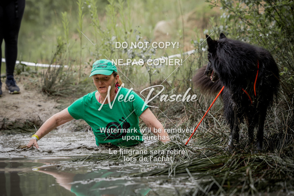 nelerasche_so0800-0930_357 | nelerasche