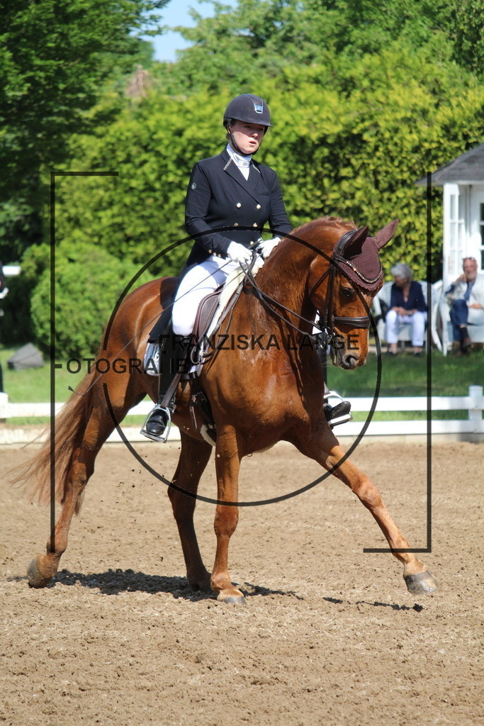 IMG_7021 | franziskalange - Realisiert mit Pictrs.com