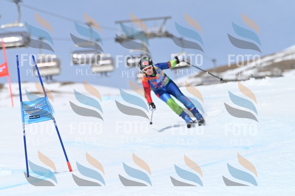 BGV_3869 | holidayphoto