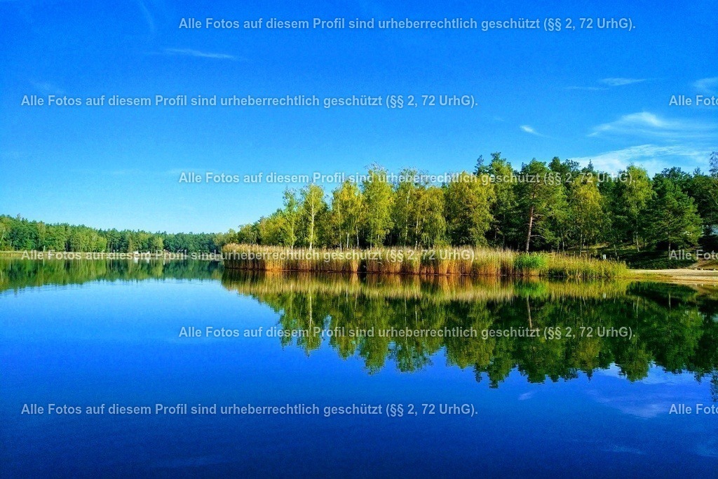 IMG_20180802_093949_841-01 | krollfotografie - Realisiert mit Pictrs.com