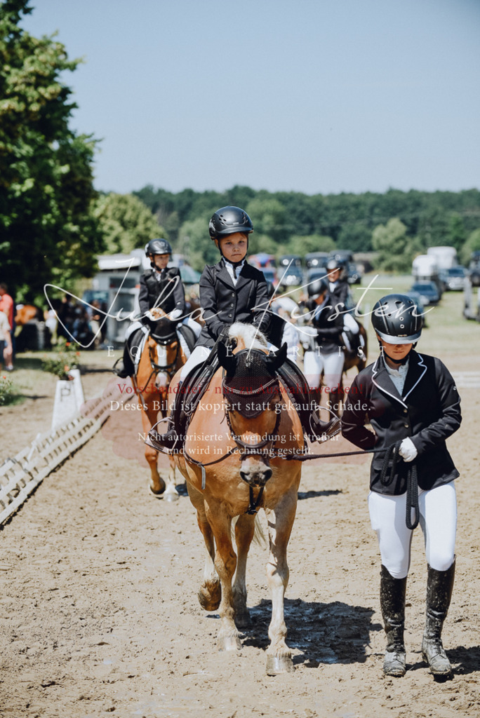 DSC_2426 | Pferde- und Turnierfotografie in Westsachsen. Pferdeportraits, Auftragszeichnungen und intuitive Kunst.