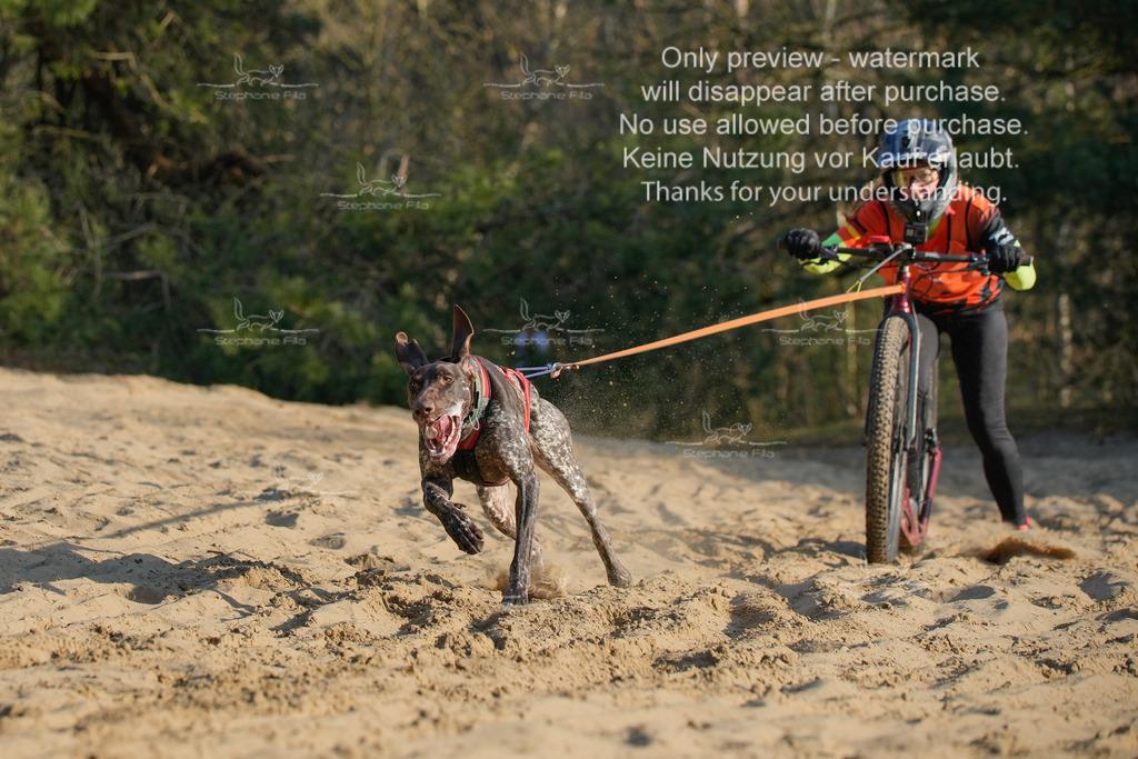 So_Scooter-165 | stephaniefillaphotographie - Realisiert mit Pictrs.com