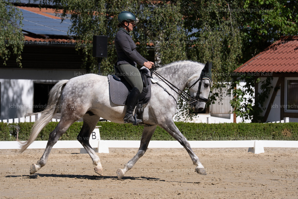 WL_DR_69_sinafilmart_IN07238 | working equitationturnier fotograf videograf stoibphotography marixx film working equitation deutschland reitsport turnierfotografie eventfotografie equestrian events
