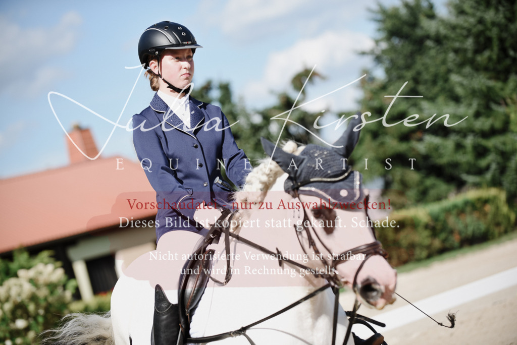 DSC_0030 | Pferde- und Turnierfotografie in Westsachsen. Pferdeportraits, Auftragszeichnungen und intuitive Kunst.
