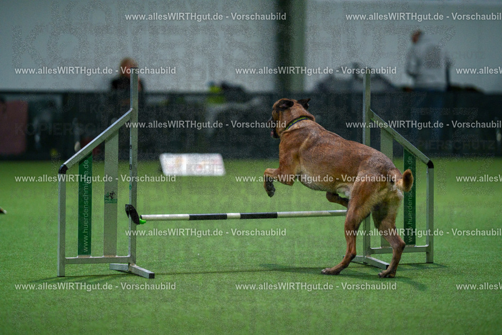 7R503706 | Professionelle Tierfotografie in Mönchengladbach von Daniel Wirth (allesWIRTHgut). Liebevolle & natürliche Bilder von Hunden & Katzen für unvergessliche Erinnerungen.