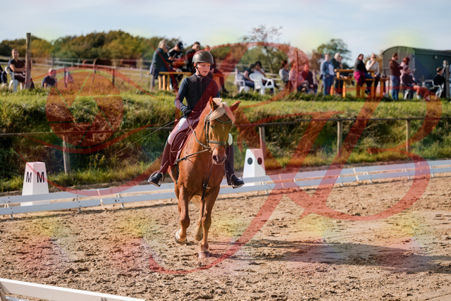 2026_10_03_Siefer-Hof_120157_Z63_34775733 | Professionelle Reitsport-, Turnier- und Eventfotografie von Robert Broda. Galerien mit ausgewählten und bearbeiteten Bildern direkt online ansehen und bestellen.