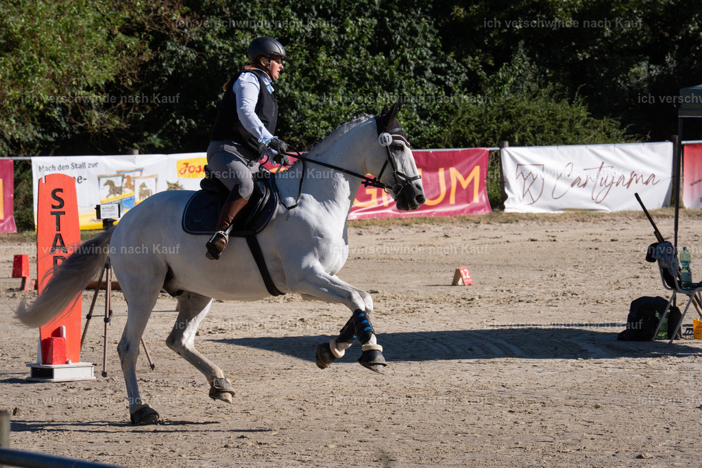 WL_SP_47_SinaFilmArt_IN05277 | working equitationturnier fotograf videograf stoibphotography marixx film working equitation deutschland reitsport turnierfotografie eventfotografie equestrian events