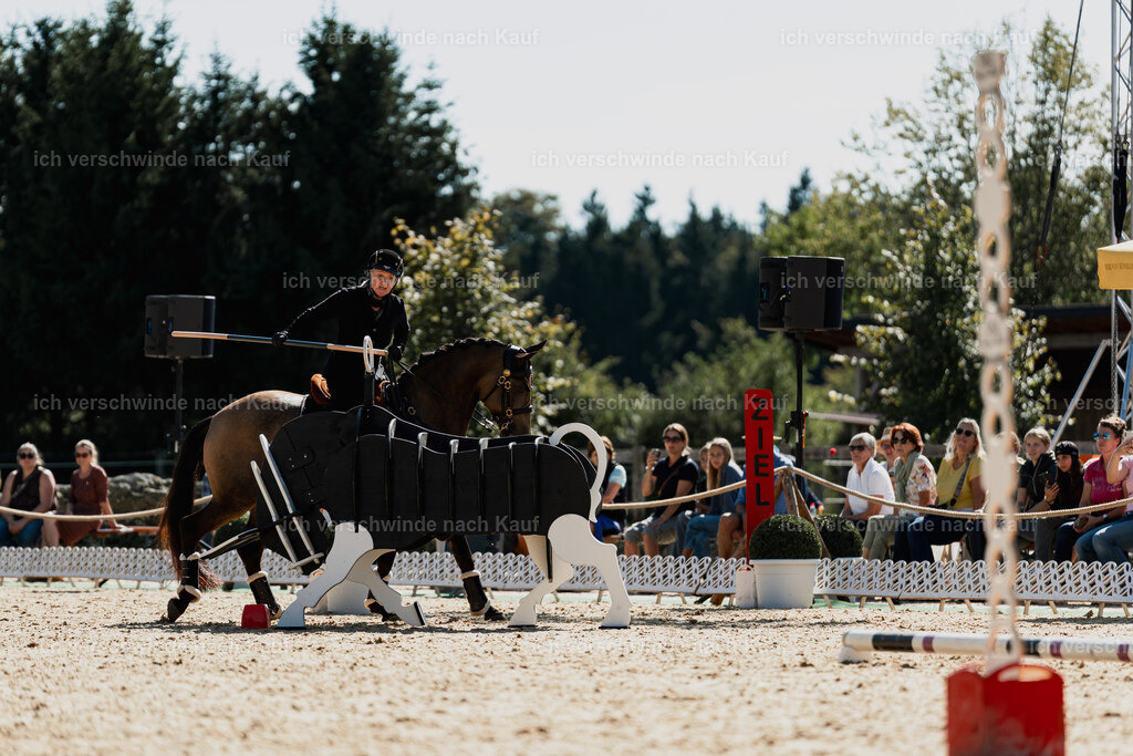 Katja7_FHC2025-08975 | working equitationturnier fotograf videograf stoibphotography marixx film working equitation deutschland reitsport turnierfotografie eventfotografie equestrian events