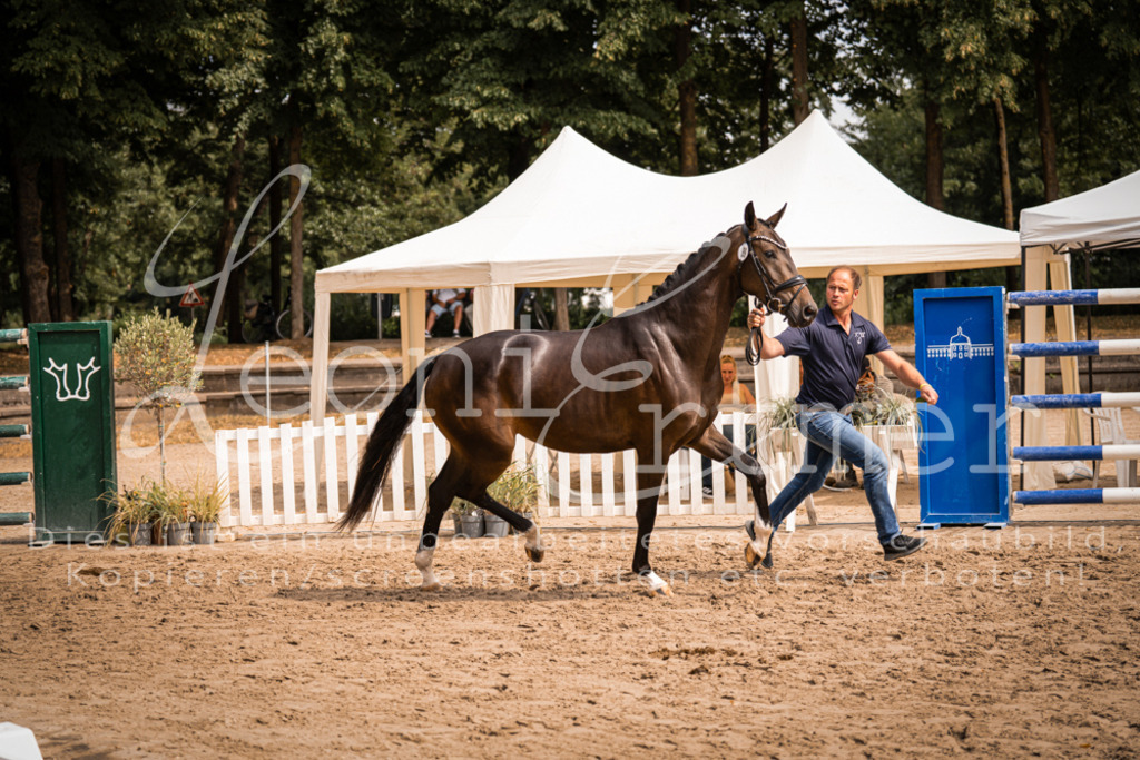 6.Fr00075 | Leoni Ertmer Photography - Realisiert mit Pictrs.com