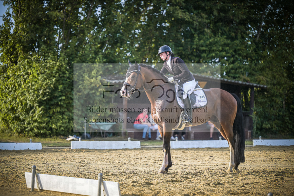 DOS_1786 | Entdecke hochwertige Reitturnierfotos von Foto Oger. Professionell, emotional und authentisch – jetzt Lieblingsmomente im Shop bestellen.Deutschlandweite Turnierfotografie. - Realisiert mit Pictrs.com