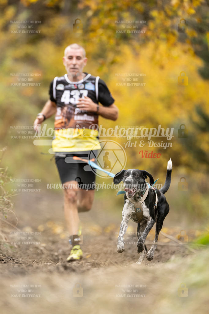 MompixPhotography_ICF_WC_2024_SA_Run_-452 | PayLife